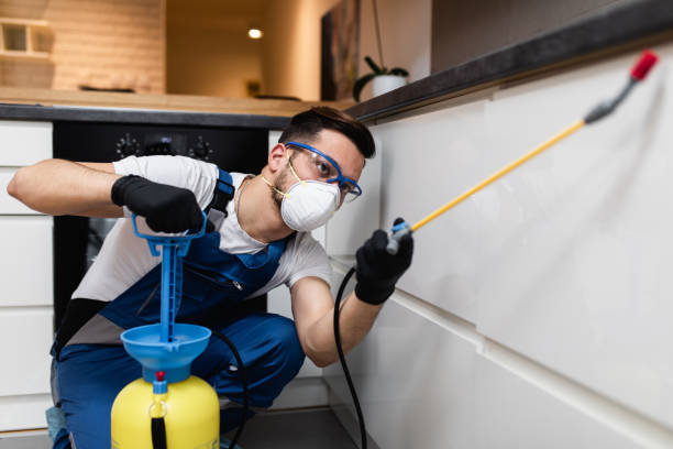 Best Pest Control for Businesses  in Kendall, FL