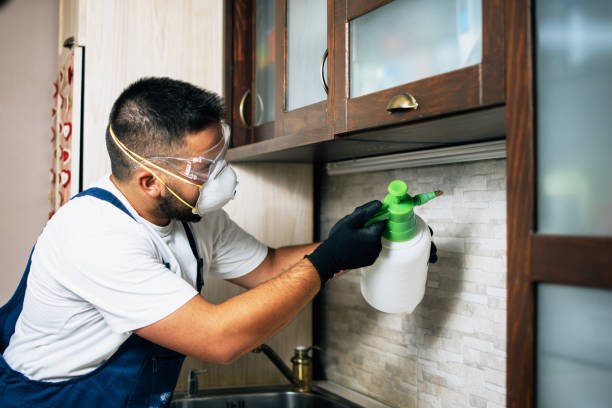 Professional Pest Control in Kendall, FL