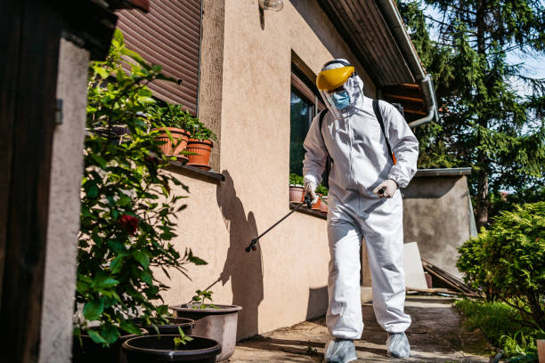 Best Pest Control for Homes  in Kendall, FL