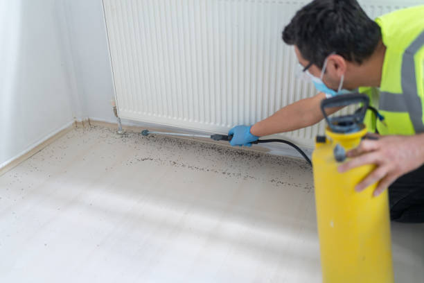 Best Affordable Exterminators  in Kendall, FL